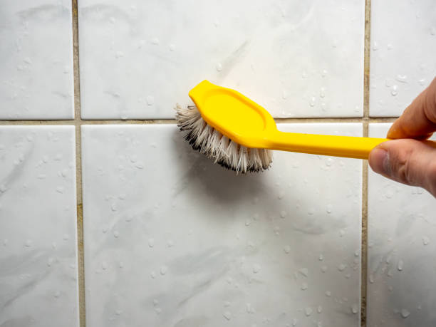 Best DIY Mold Remediation Support Services in Phoenix, OR
