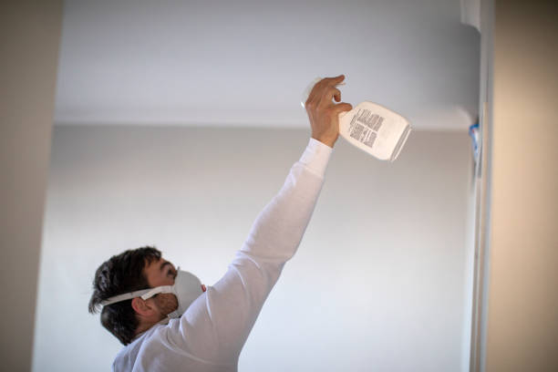 Best White Mold Remediation in Phoenix, OR